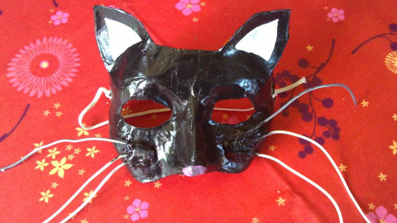 masque chat