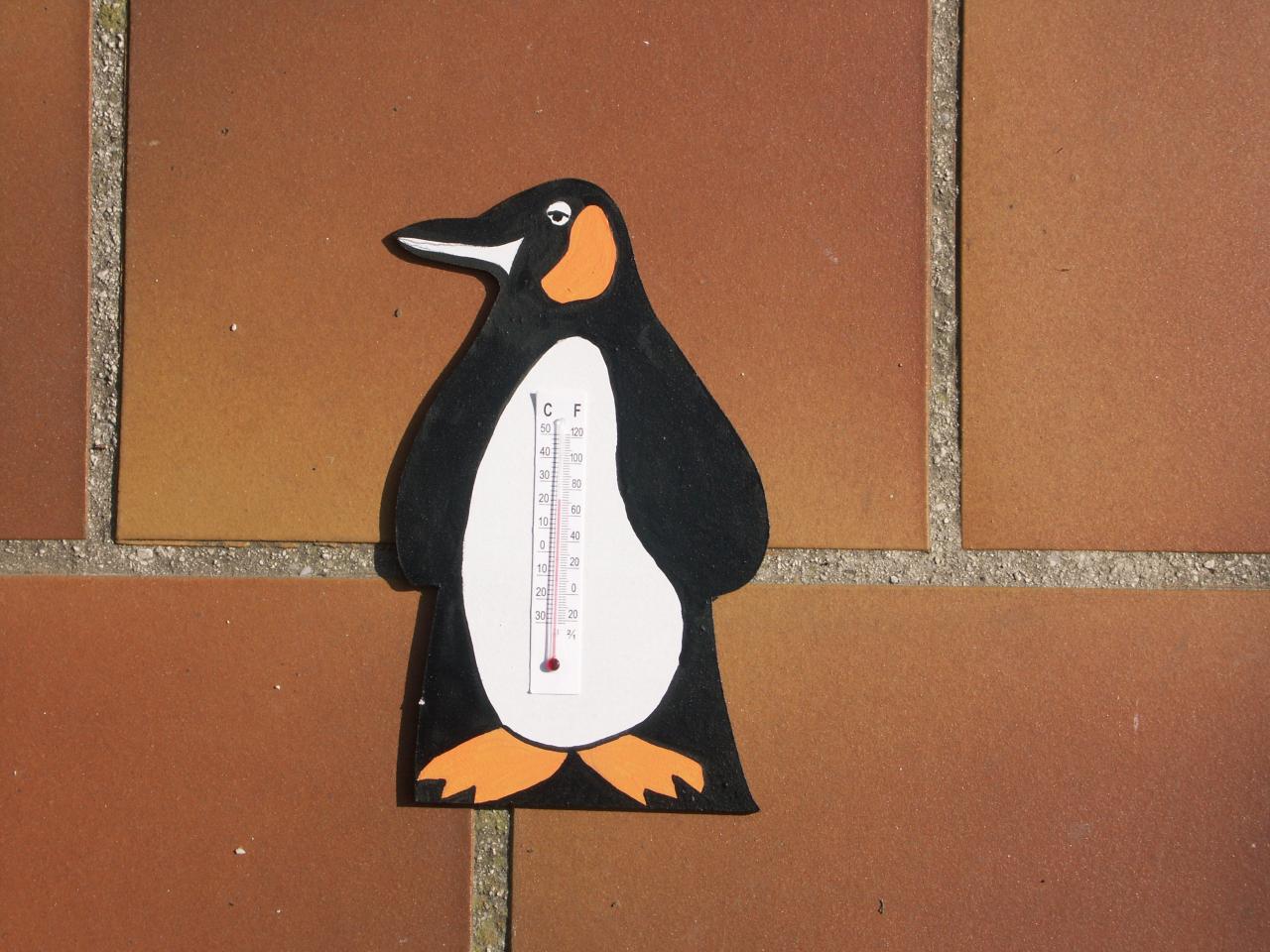 pingouin thermomètre